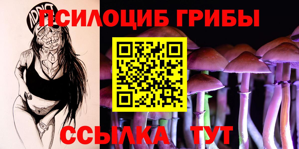 Мелеуз  Псилоцибиновые грибы прущие грибы  Вход с VPN 